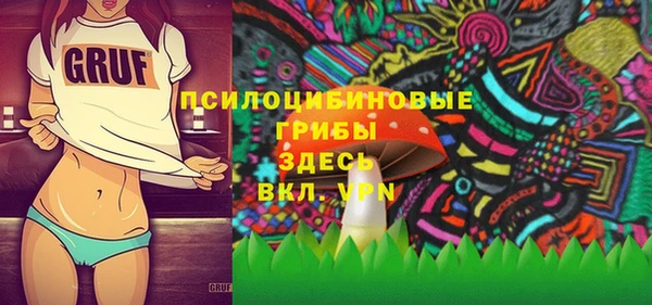 молекула духа Горно-Алтайск