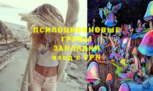 амфетамин Горнозаводск