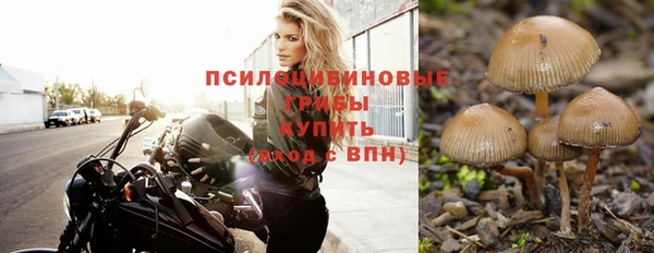 молекула духа Горно-Алтайск