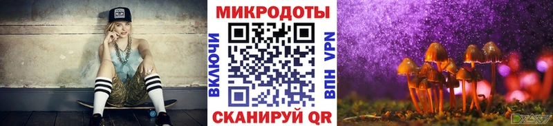 Псилоцибиновые грибы GOLDEN TEACHER  darknet наркотические препараты  Нязепетровск  наркота 