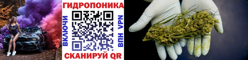 мега зеркало  Нязепетровск  Бошки марихуана сатива 